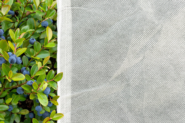 Orchard & Vineyard Bird Netting – Haverford NZ