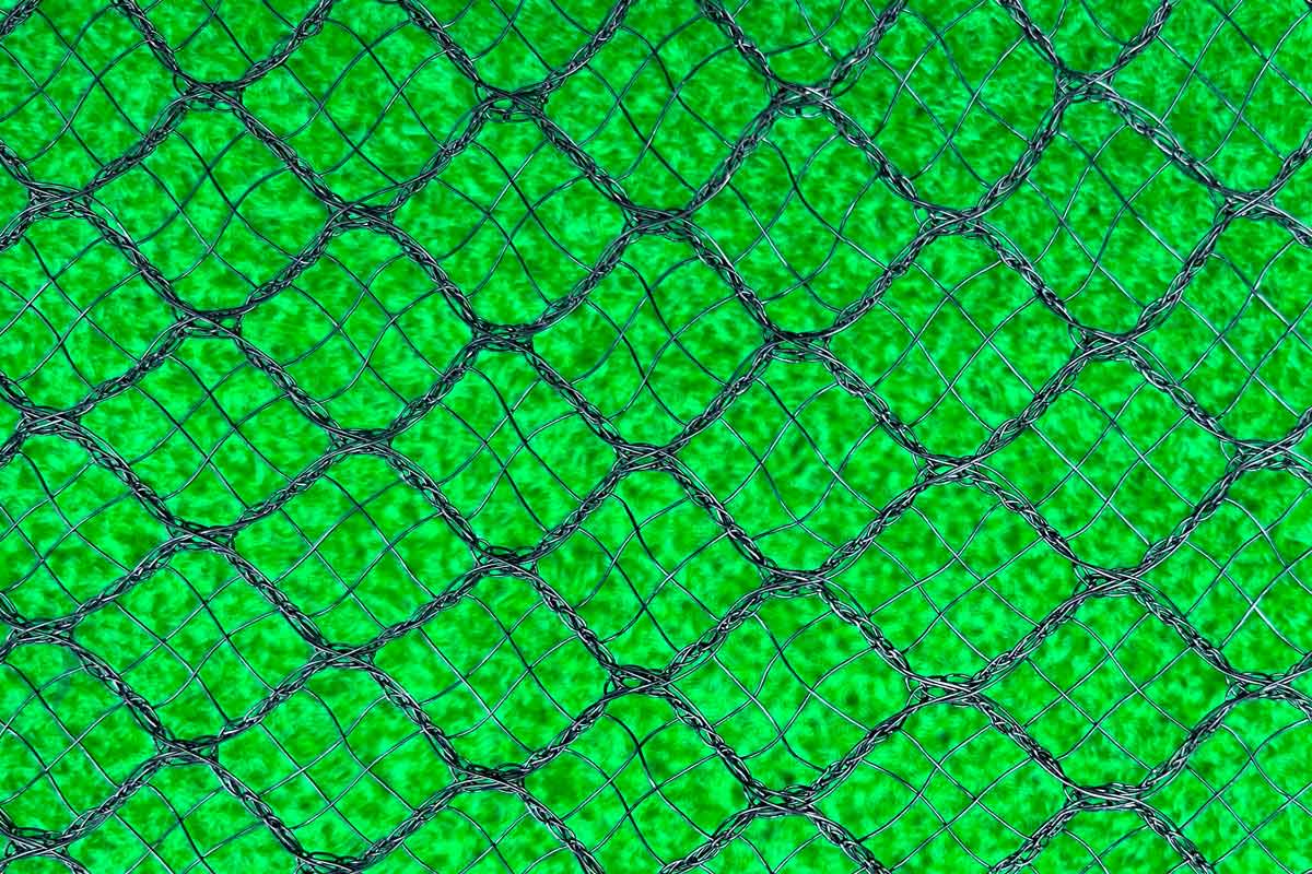 Haverford Black / 10m x 5m X-Weave 60GSM Bird Netting