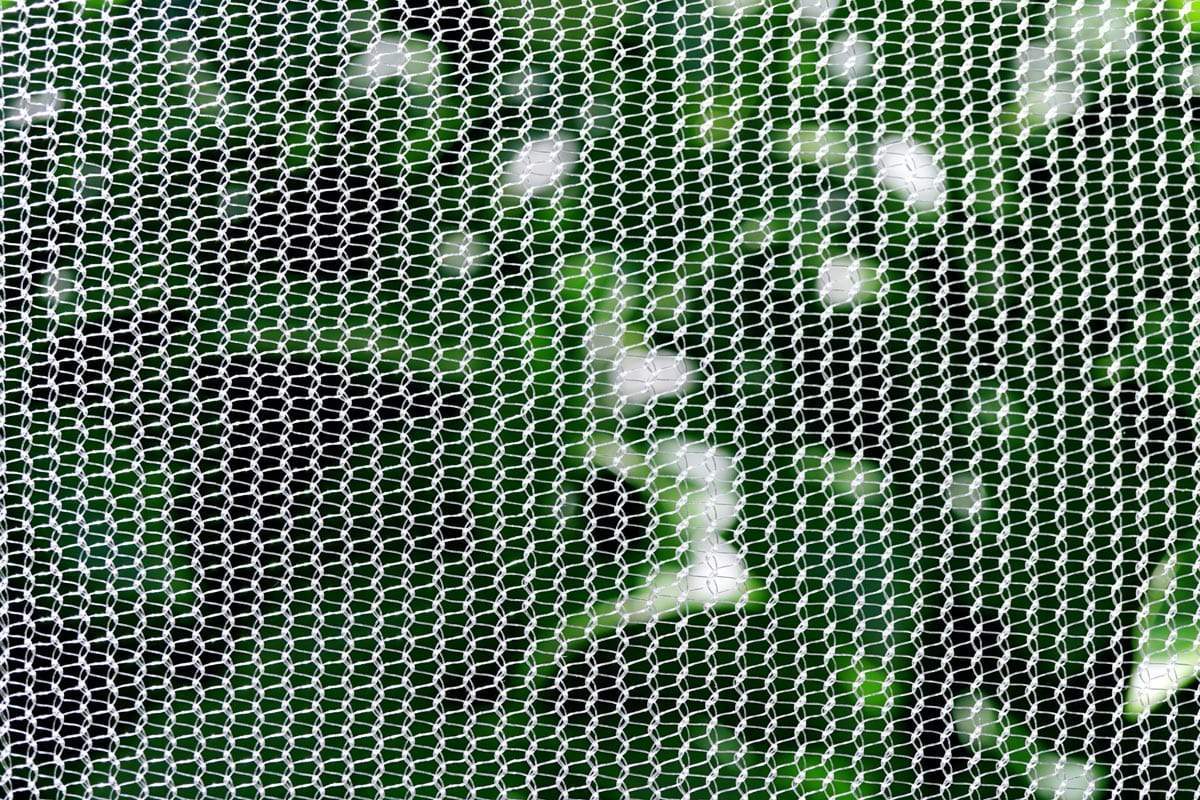Net Insect Fly Fruit Fly & Insect Netting 45GSM – Haverford NZ